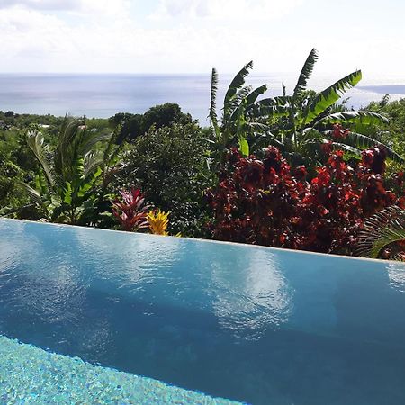 Kaye Mango Villa Soufrière Kültér fotó