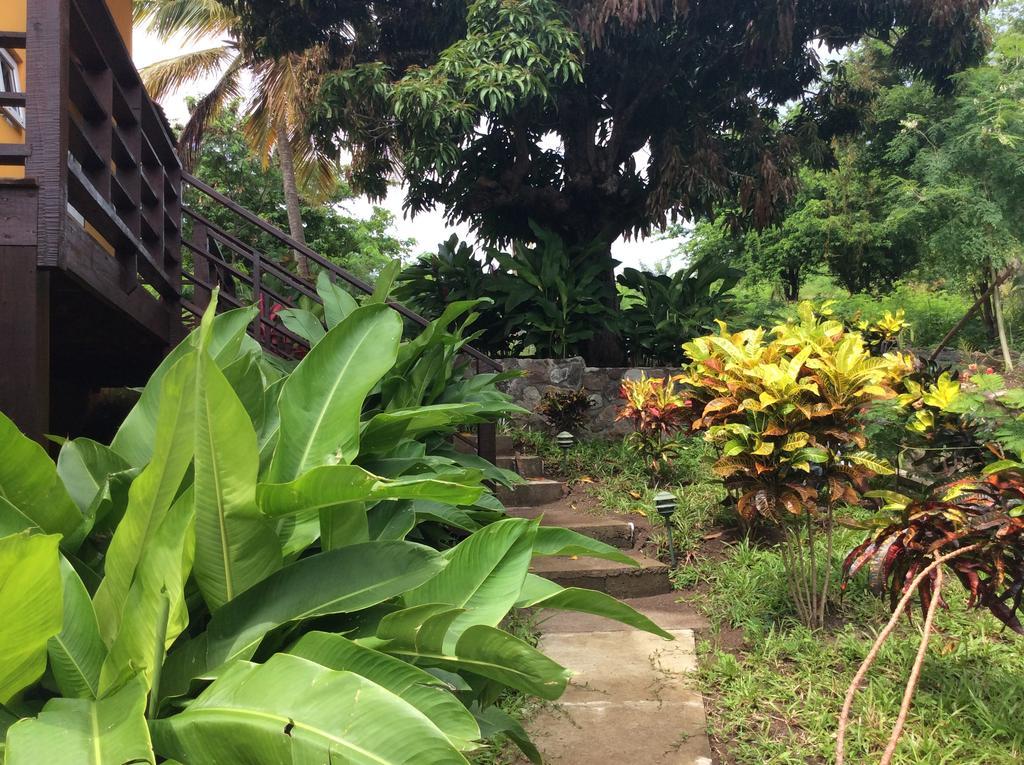 Kaye Mango Villa Soufrière Kültér fotó
