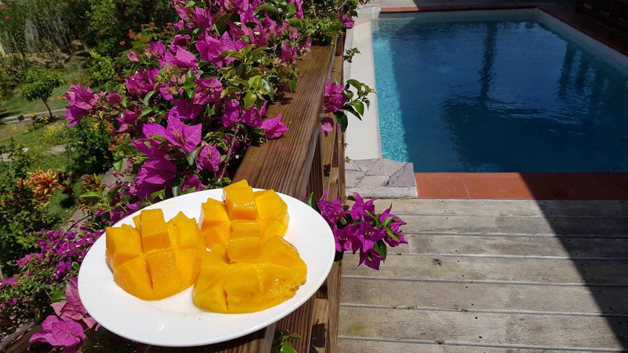 Kaye Mango Villa Soufrière Kültér fotó