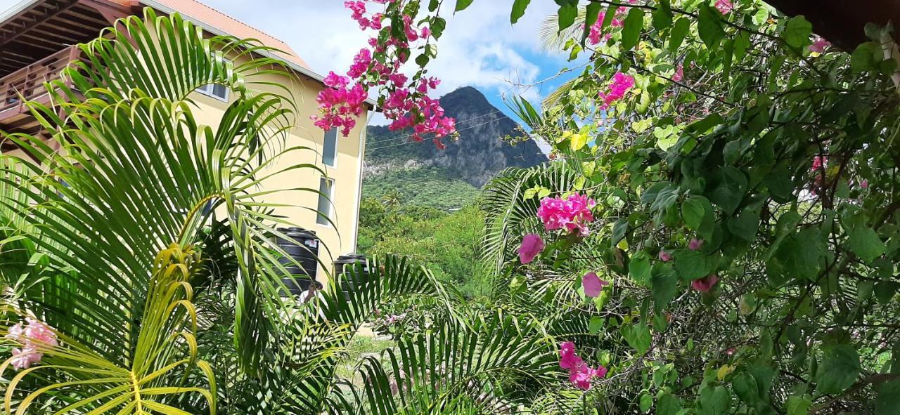 Kaye Mango Villa Soufrière Kültér fotó