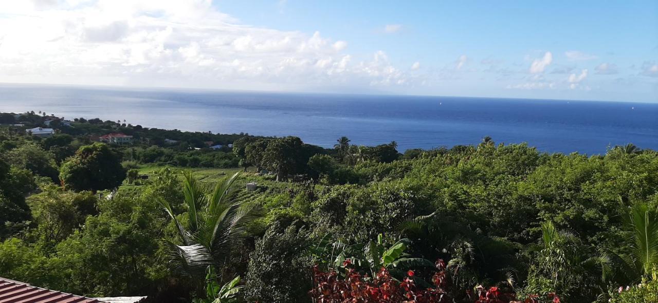 Kaye Mango Villa Soufrière Kültér fotó