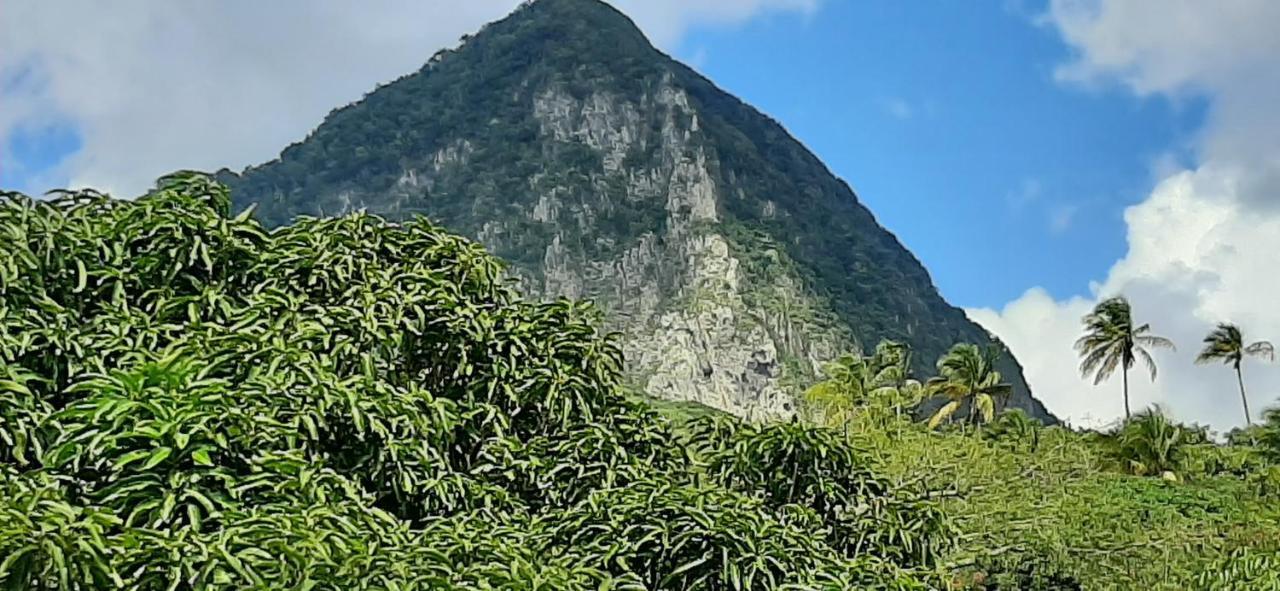 Kaye Mango Villa Soufrière Kültér fotó