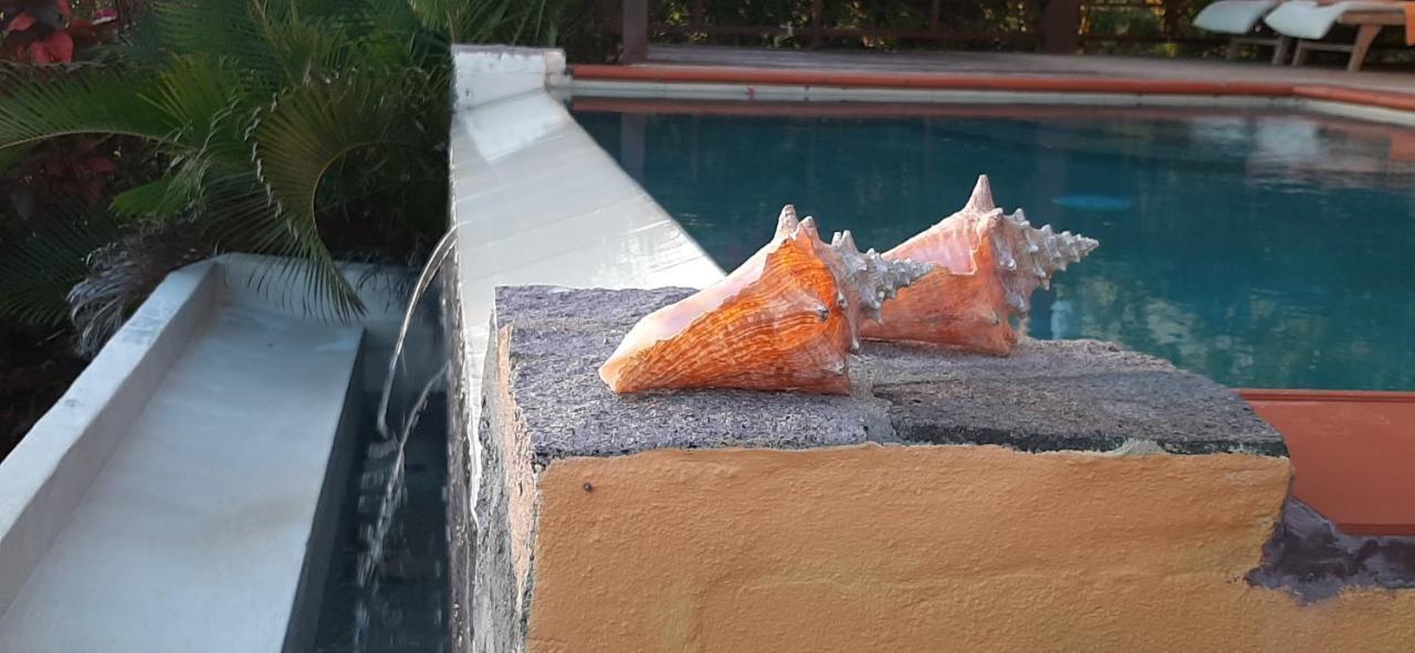 Kaye Mango Villa Soufrière Kültér fotó